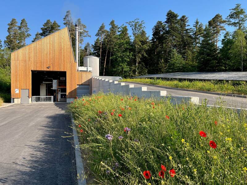 Ein modernes Gebäude mit Holzfassade steht neben einer Wiese mit blühenden Wildblumen und vor einem Wald.
